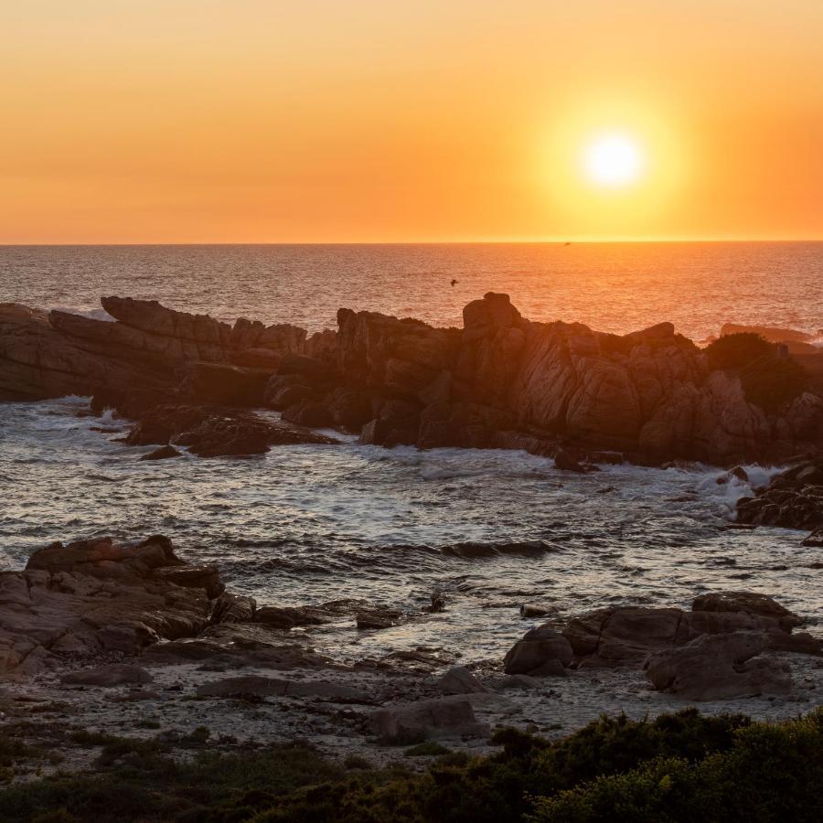 Albatross Accommodation Lambertʼs Bay Εξωτερικό φωτογραφία